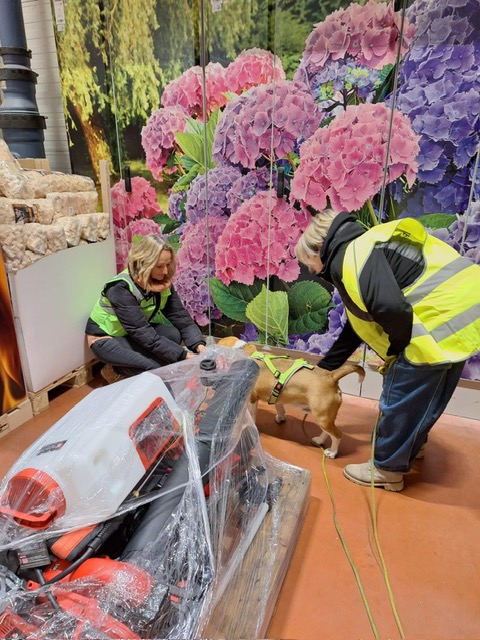 130173eb-b9b3-4179-9eb5-5dfe0886cf10