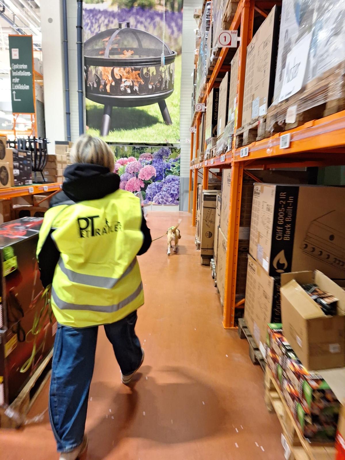 21c12955-46f1-4907-b145-301787ce52bc