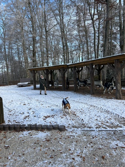 48f35624-3b80-4419-ac9f-8bfefc359370