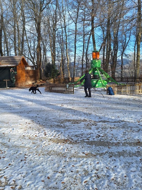 6c10b1a4-902a-4d82-808c-9cef7c64f1d5