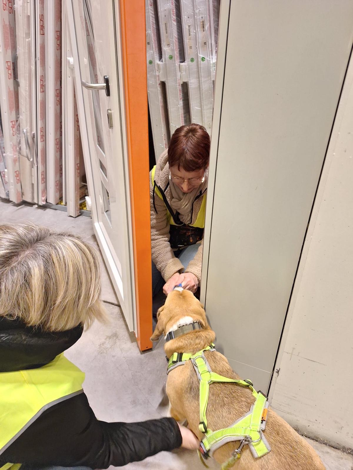 c2a8d087-849e-4289-998c-7e5067fad451