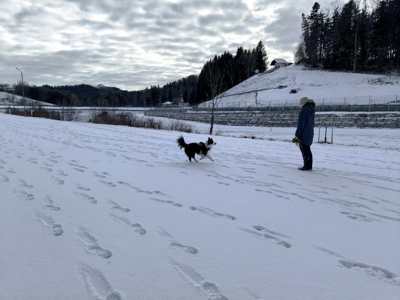 IMG_20251231_132331_1