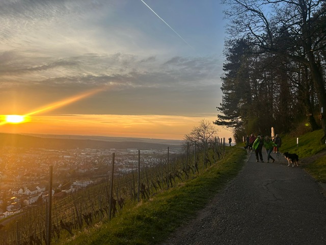 1a0da05d-ef8d-4d30-a47b-c62780619021