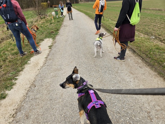 40ae4413-5687-4278-9f86-bcd5024e61f7