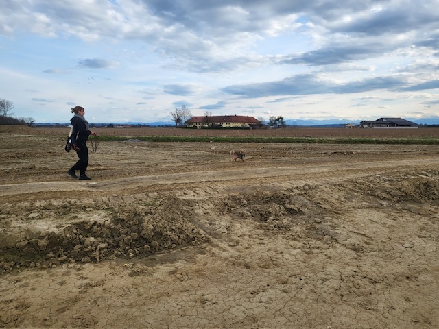 4102d3df-b457-4e86-894c-766610efa54d