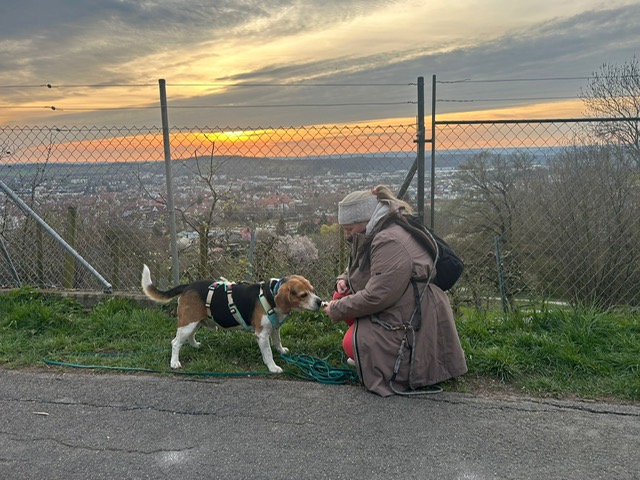 57648992-2ad7-428e-b413-4b47f3ee7d96