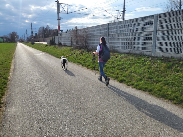 67358aba-af8f-47f8-a2bb-2f3514d0aec5