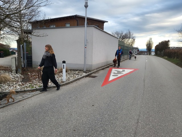 84d19f29-ff95-4ec9-95e8-023147ced484