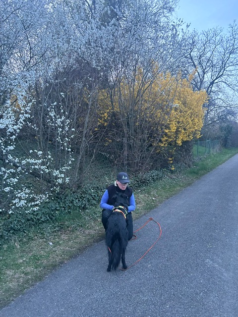 b789a333-69bb-4c80-ad42-827b8c09344c