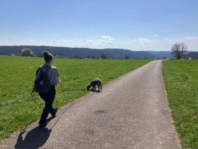 3a3a33d1-79b0-4b8f-a89c-0ca73f80a236