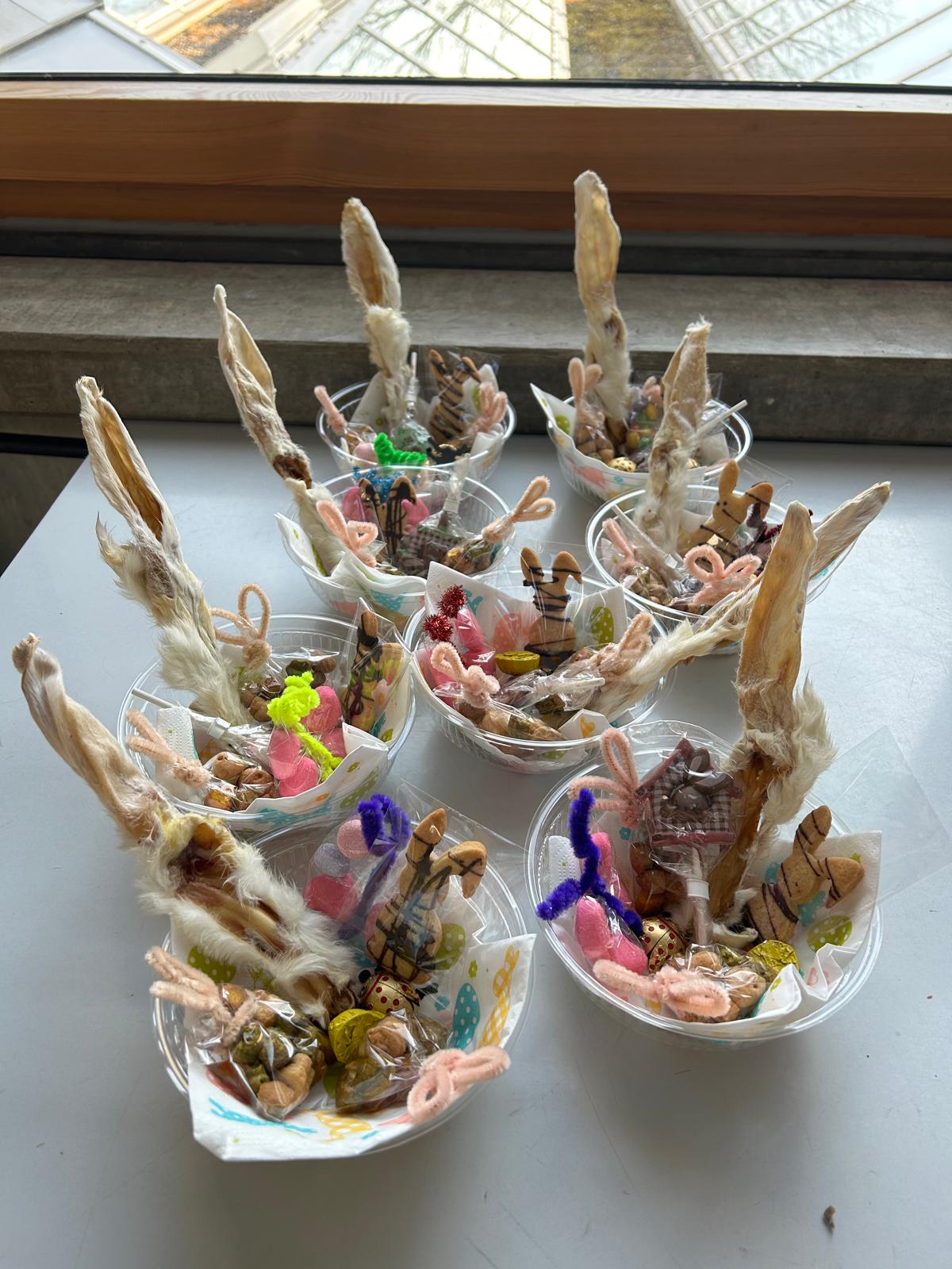 PHOTO-2026-04-03-13-09-12