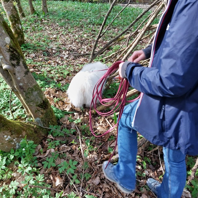 e2ef9bb6-518d-47e9-a7f7-439a49cbc2ae